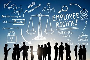 a graphic with the silhouette of employees and different employee rights listed under the Fair Labor Standards Act