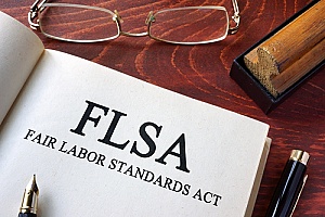 a book that answers the question What is FLSA