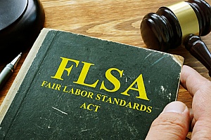 Fair Labor Standards Act book that describes who is FLSA exempt and who is not
