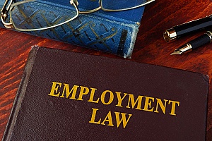 a book that explains why employment law is important