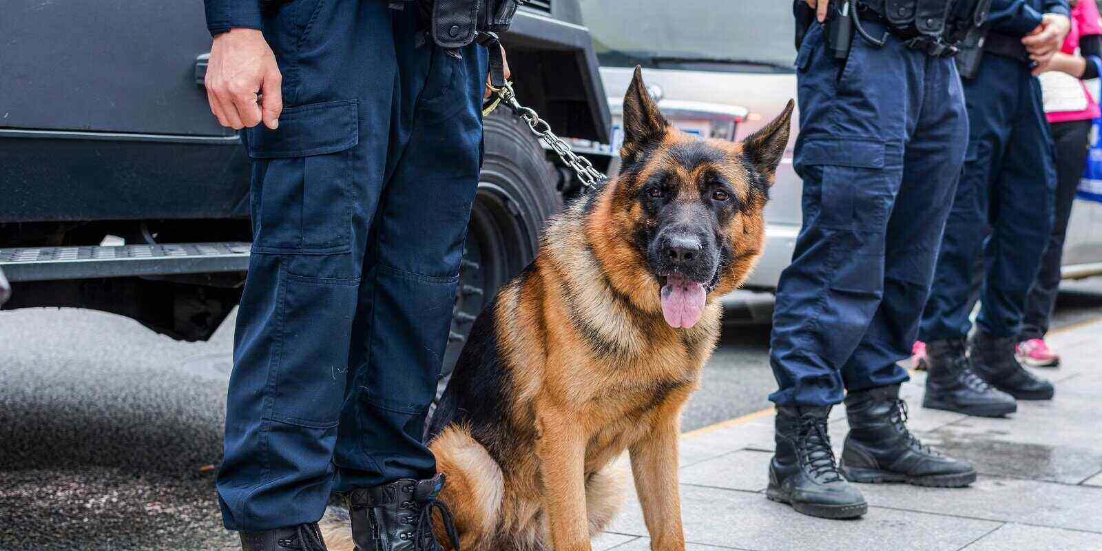 why are police dogs used